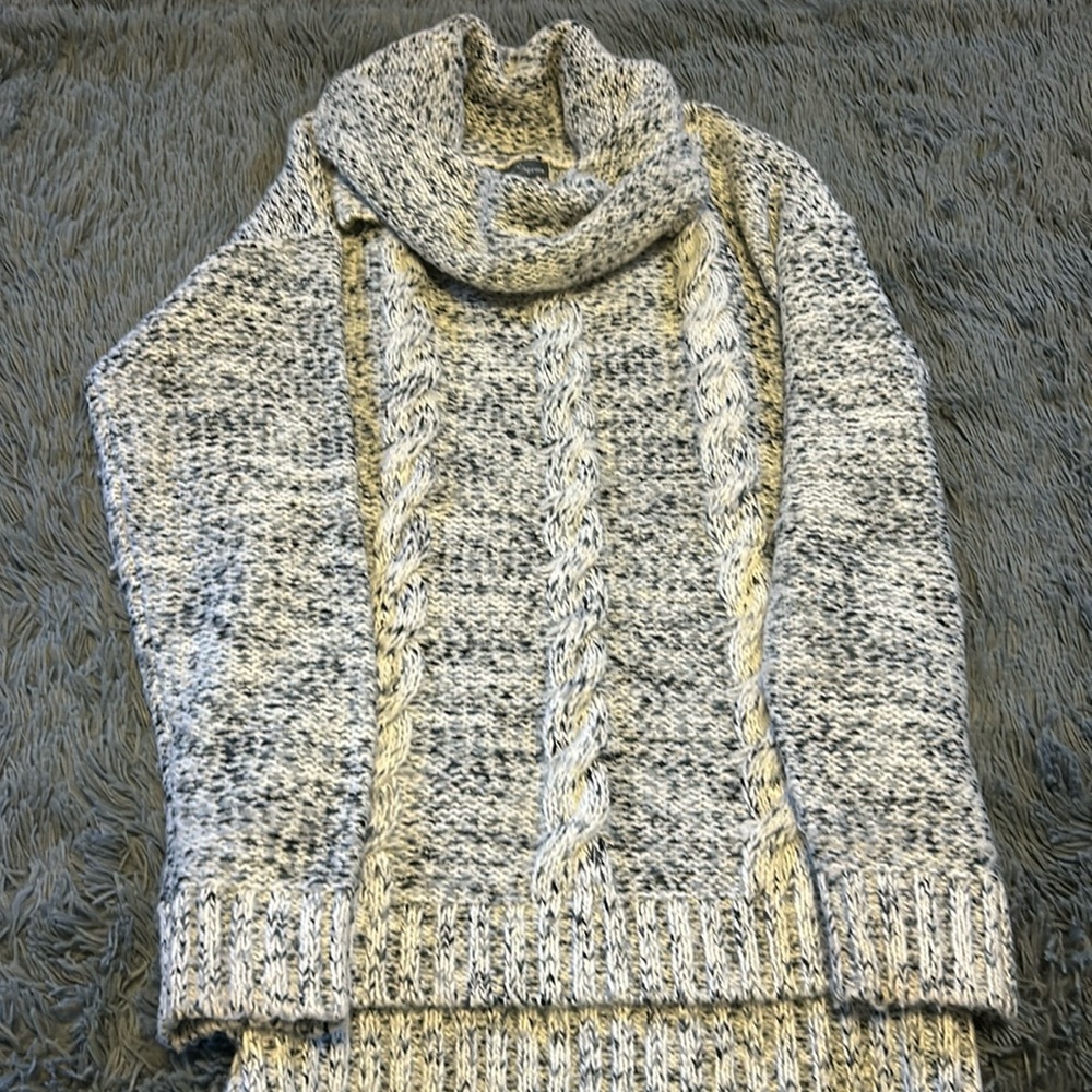 Women’s Market & Spruce cowl neck sweater